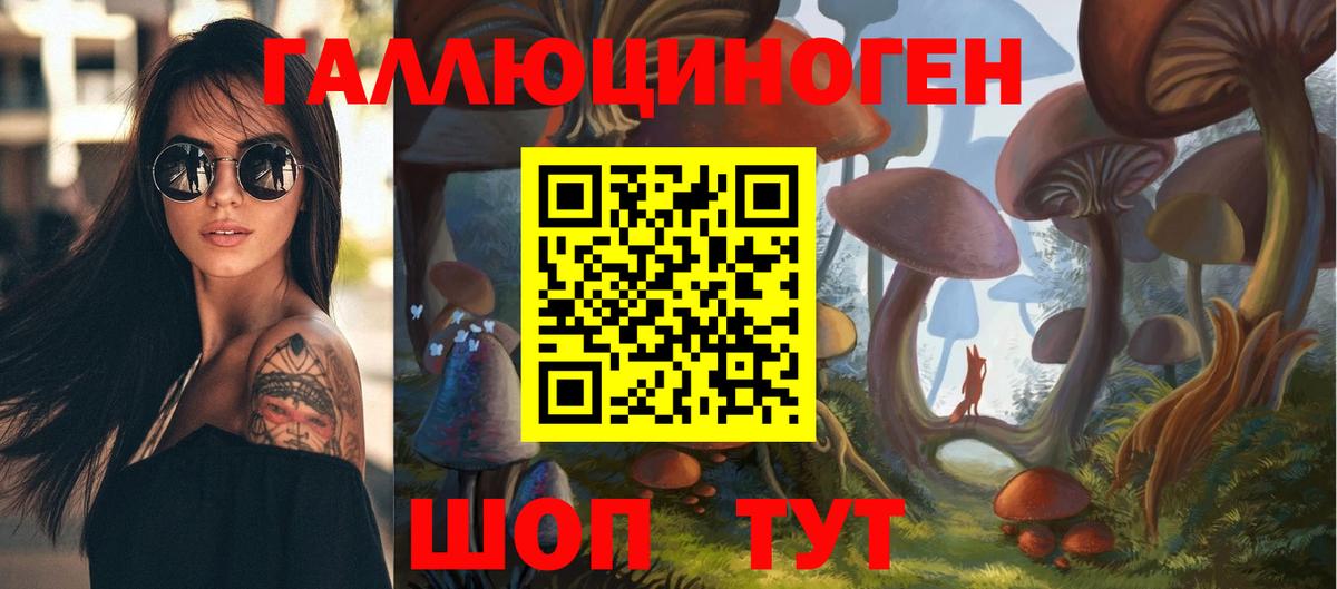 Галлюциногенные грибы прущие грибы  Вход с VPN  Галлюциногенные грибы мицелий  Черемхово 